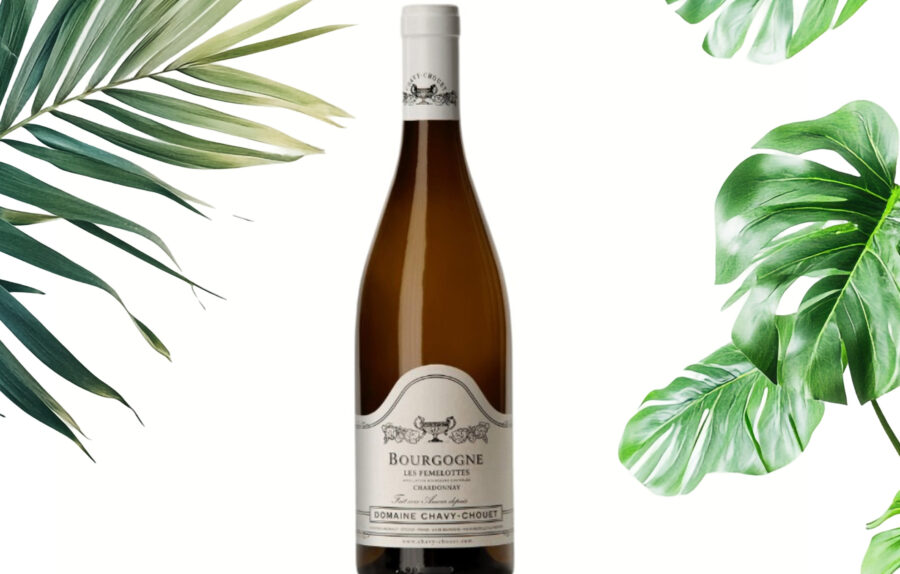 Bourgogne ''Les Femelottes'' Chavy-Chouet
