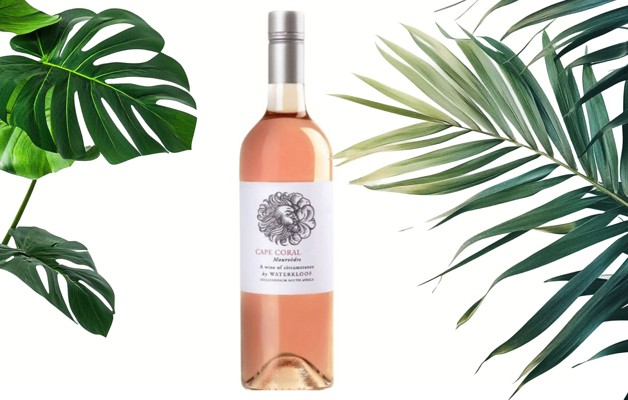 Waterkloof Cape Coral Mourvèdre